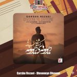 دانلود آهنگ گرشا رضایی دیوونه ی دیوونه