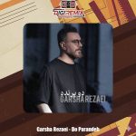 دانلود آهنگ گرشا رضایی دو پرنده