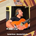 دانلود آهنگ گرشا رضایی قصه برکه و ماهی ( دلی )