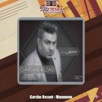 دانلود آهنگ گرشا رضایی ممنون
