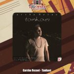 دانلود آهنگ گرشا رضایی تنهایی