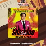 دانلود ریمیکس امیر شاملو ای دختر زیبا دیجی ابو ریمیکس