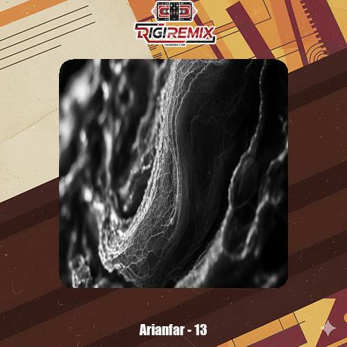 دانلود آهنگ آریانفر 13