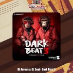 دانلود ریمیکس دیجی آرسس و دیجی سپی دارک بیت 3