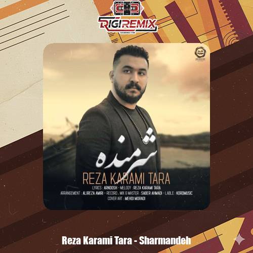 دانلود آهنگ رضا کرمی تارا شرمنده