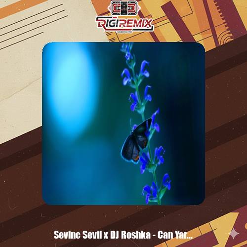 دانلود آهنگ دیجی روشکا و سویل سوینج جان یاریم