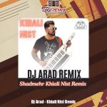 دانلود آهنگ دیجی آراد خیالی نیست (شادمهر ریمیکس)