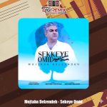 دانلود آهنگ مجتبی دل زنده سکه امید