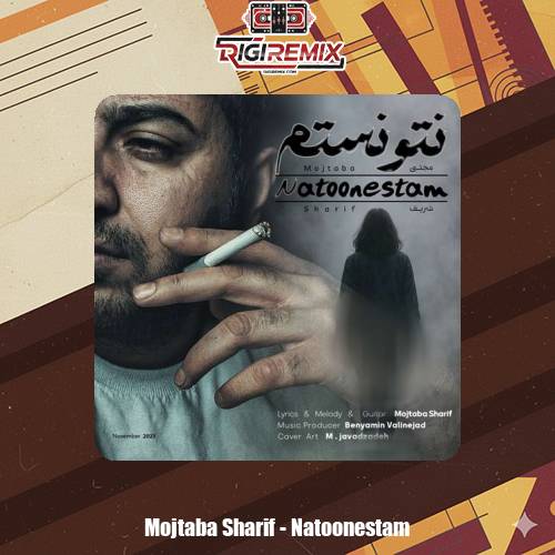دانلود آهنگ مجتبی شریف نتونستم