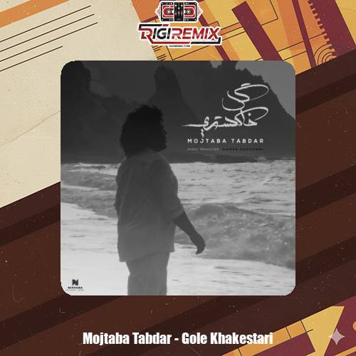 دانلود آهنگ مجتبی تابدار گل خاکستری