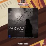 دانلود آهنگ پرواز تنها