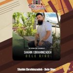 دانلود آهنگ شاهین ابراهیم زاده دل دیگه