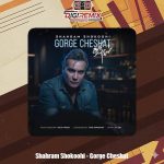 دانلود آهنگ شهرام شکوهی گرگ چشات