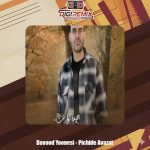 دانلود آهنگ داوود یونسی پیچیده آوازت