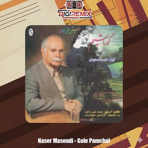 دانلود آهنگ ناصر مسعودی گل پامچال