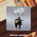 دانلود آهنگ شاهین راستین گل قلبم