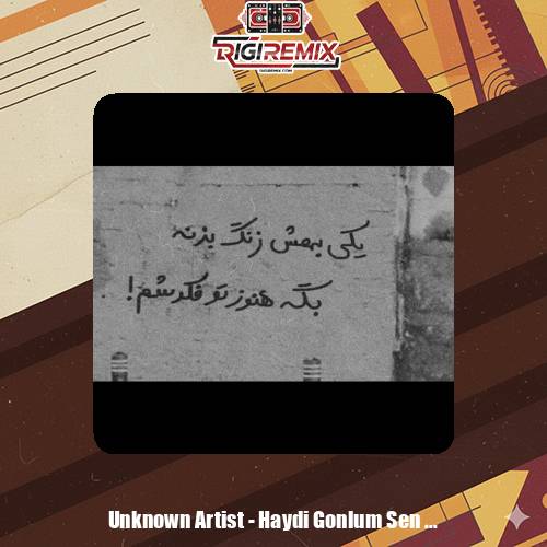 دانلود آهنگ هایدی سویله