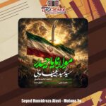 دانلود آهنگ سیدحمیدرضا علوی مولانا یاحیدر
